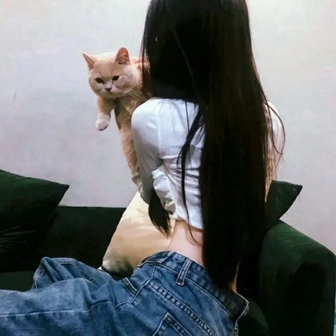 唯美貌不可辜负第二季